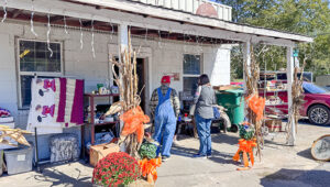 PHOTOS: Spruce Pine Day 2024